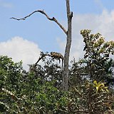 Costa Rica20150403-1858-0902